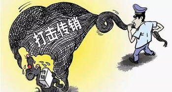投资3800赚381万
