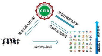 跨境电商创业项目有哪些