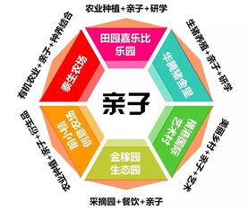 投资小利润大的小本生意