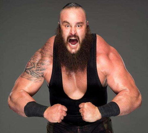 wwe一年能赚多少钱