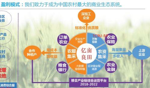 农产品创业项目计划书