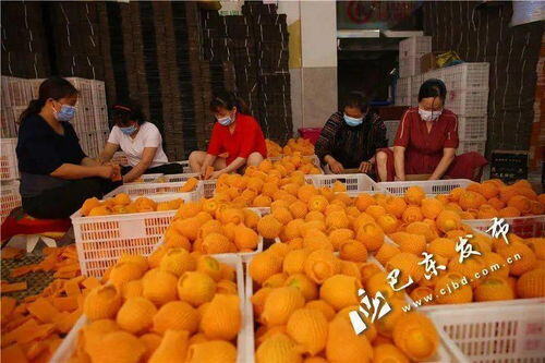 832农副产品销售平台