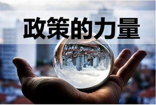 重庆创业扶持哪些项目