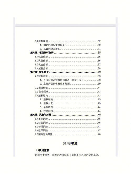 电商创业计划书