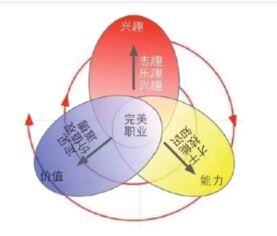 工作兴趣和职业生涯规划怎么写