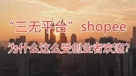 中东noon跨境电商平台