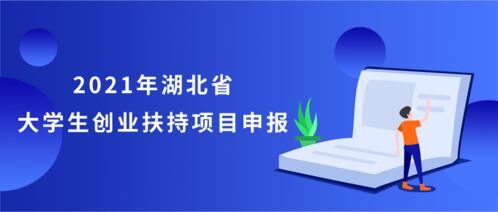 大学生创业项目