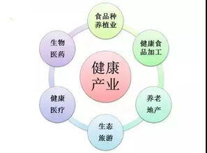 中国大健康产业前景及趋势分析