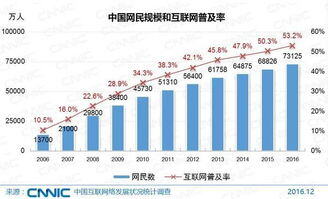 中国互联网发展状况统计报告