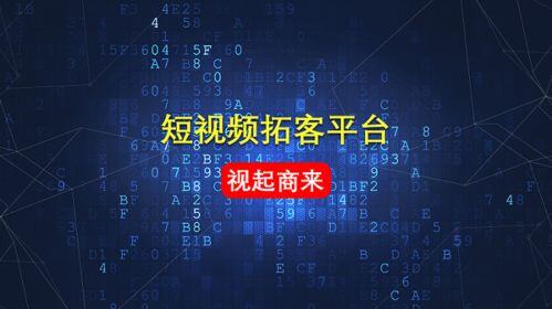 短视频创业项目