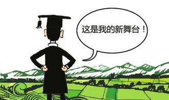 农民增收的渠道有哪些