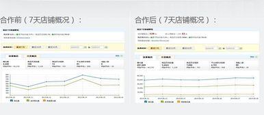 电商sd是什么意思