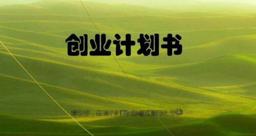 创业计划书中关于产品服务的介绍包括