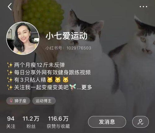 做博主赚多少钱一个月