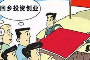 农村创业适合做什么