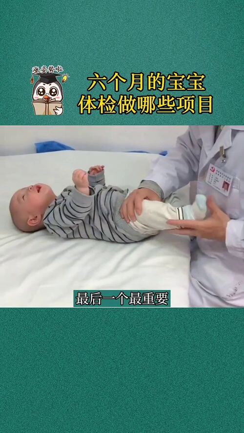 六个月的宝宝体检都做什么项目