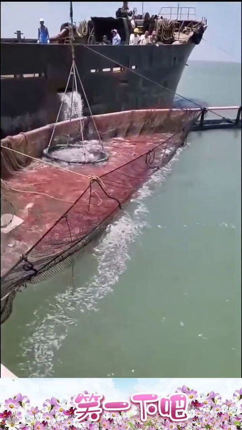 现在出海打鱼能一月挣多少