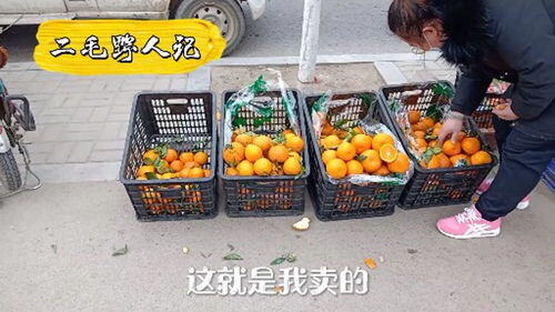 卖水果一天能赚多少钱