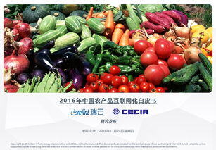 互联网+农产品商业计划书