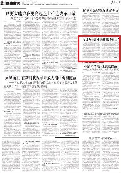 乡村产业振兴调研报告