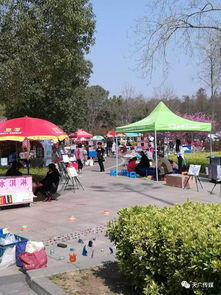 夏天公园摆摊卖什么好