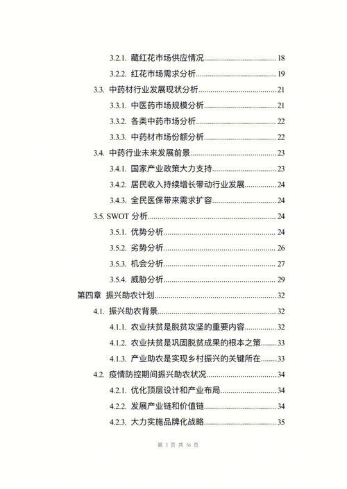 中医药项目计划书