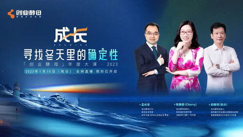 2023年创业做什么好