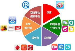 业务运营主要做什么