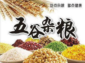 想开五谷杂粮店哪里进货