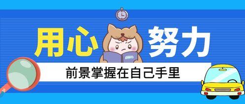 销售专员是干嘛的