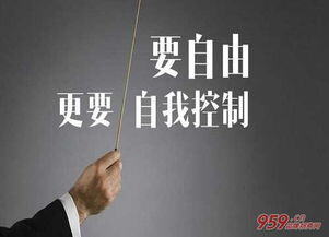 创业者个人或团队白手起家进行创业是指