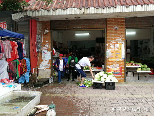 乡镇开什么店最挣钱