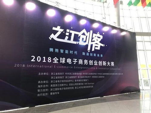 电子商务创新创业项目计划书