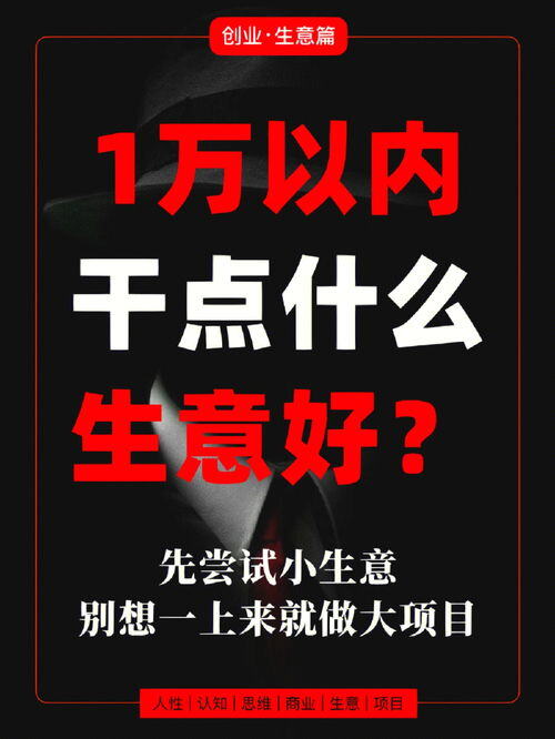 2023年赚钱的创业项目