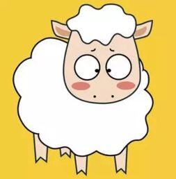 属羊适合做什么生意