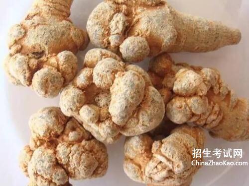三七多少钱一斤