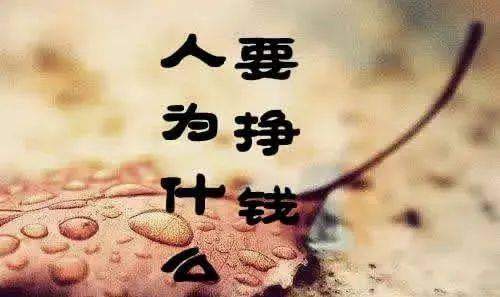 人为什么要挣钱