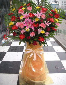 生意兴隆送什么花