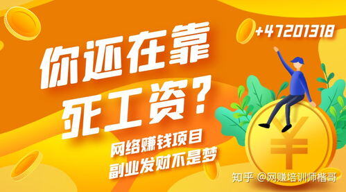 什么项目赚钱
