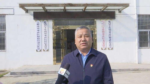 农村公益性项目包括哪些