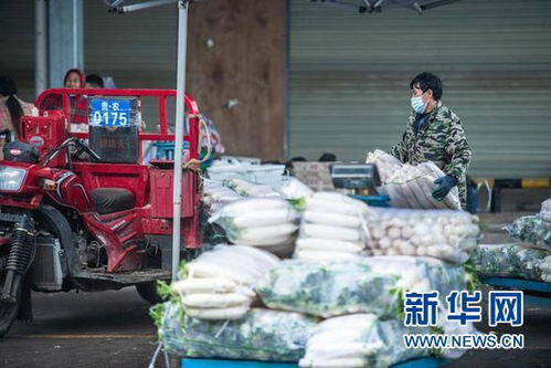 农产品一手货源批发网