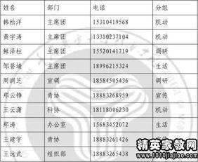 三下乡项目计划书