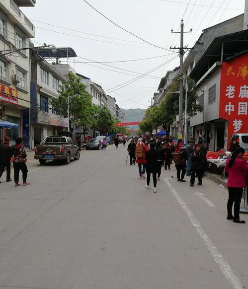 农村做点什么项目比较好