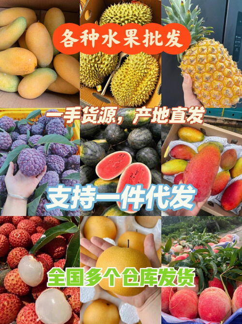 全国一手水果进货渠道