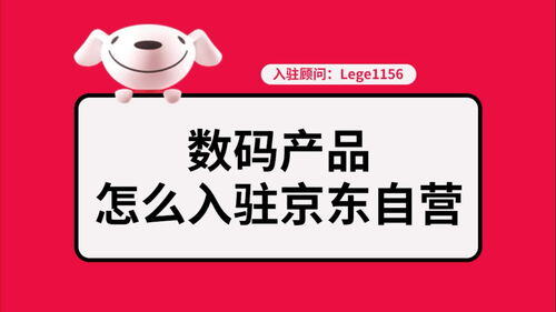 如何开京东网店