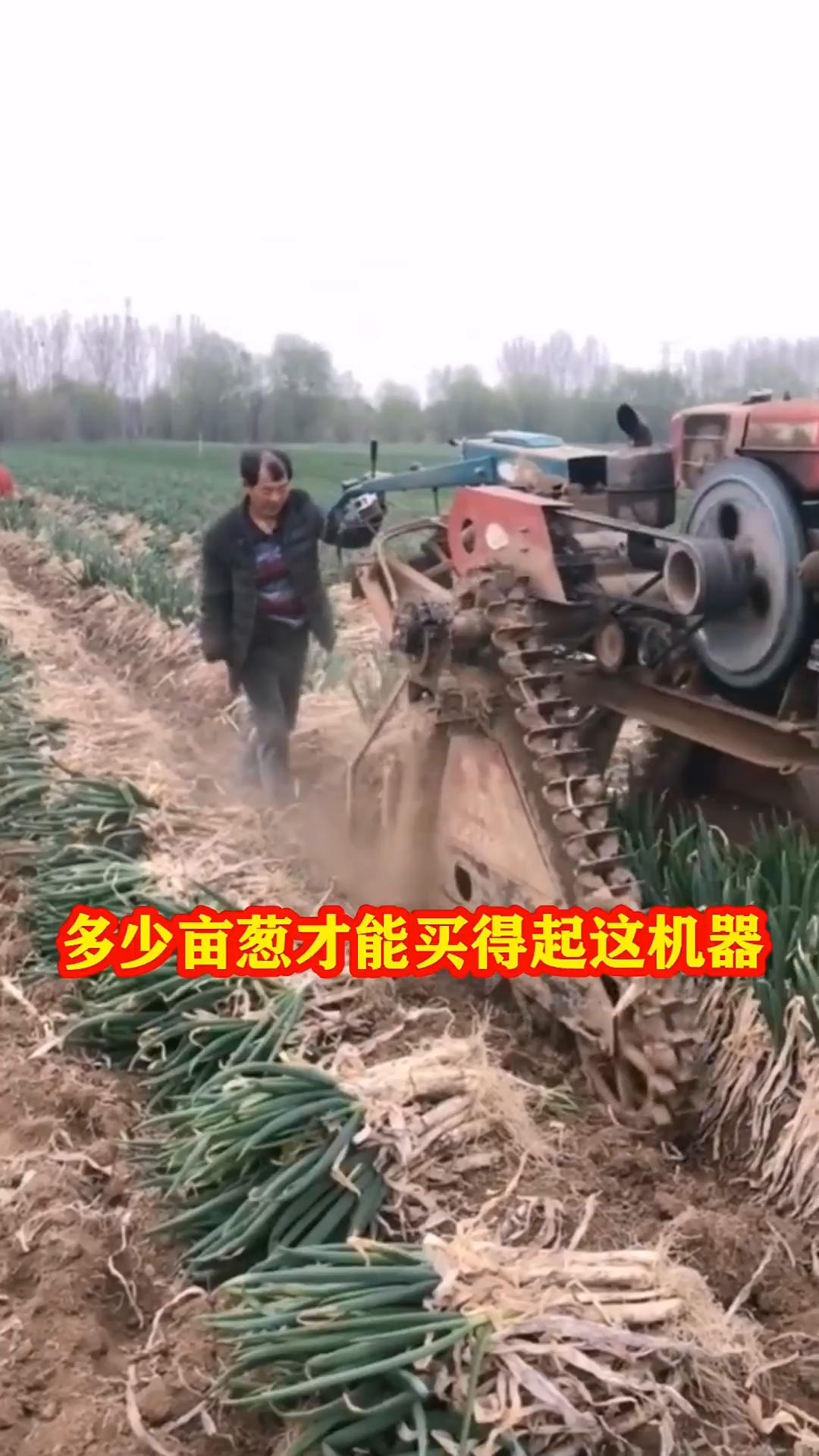 农村买啥机器能挣钱