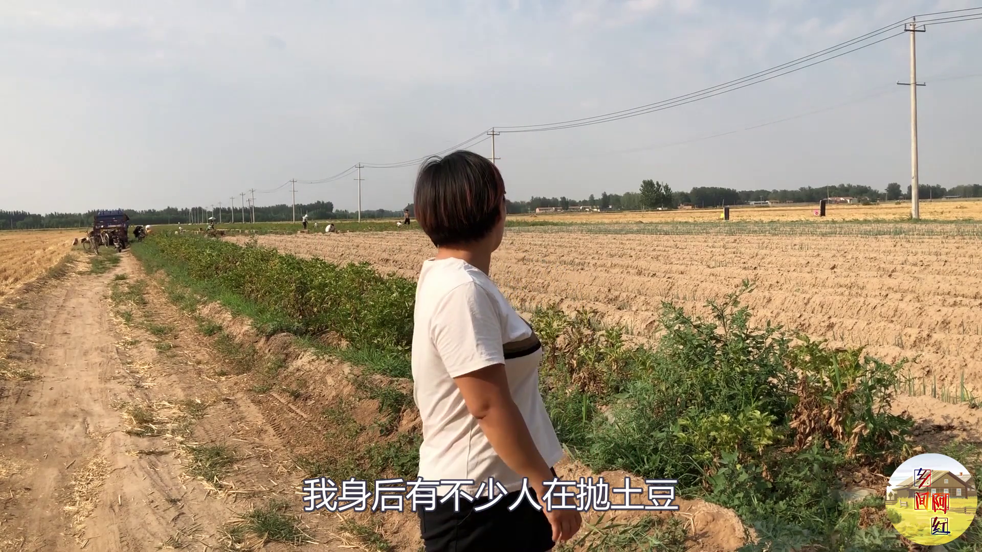 种土豆一亩地利润多少