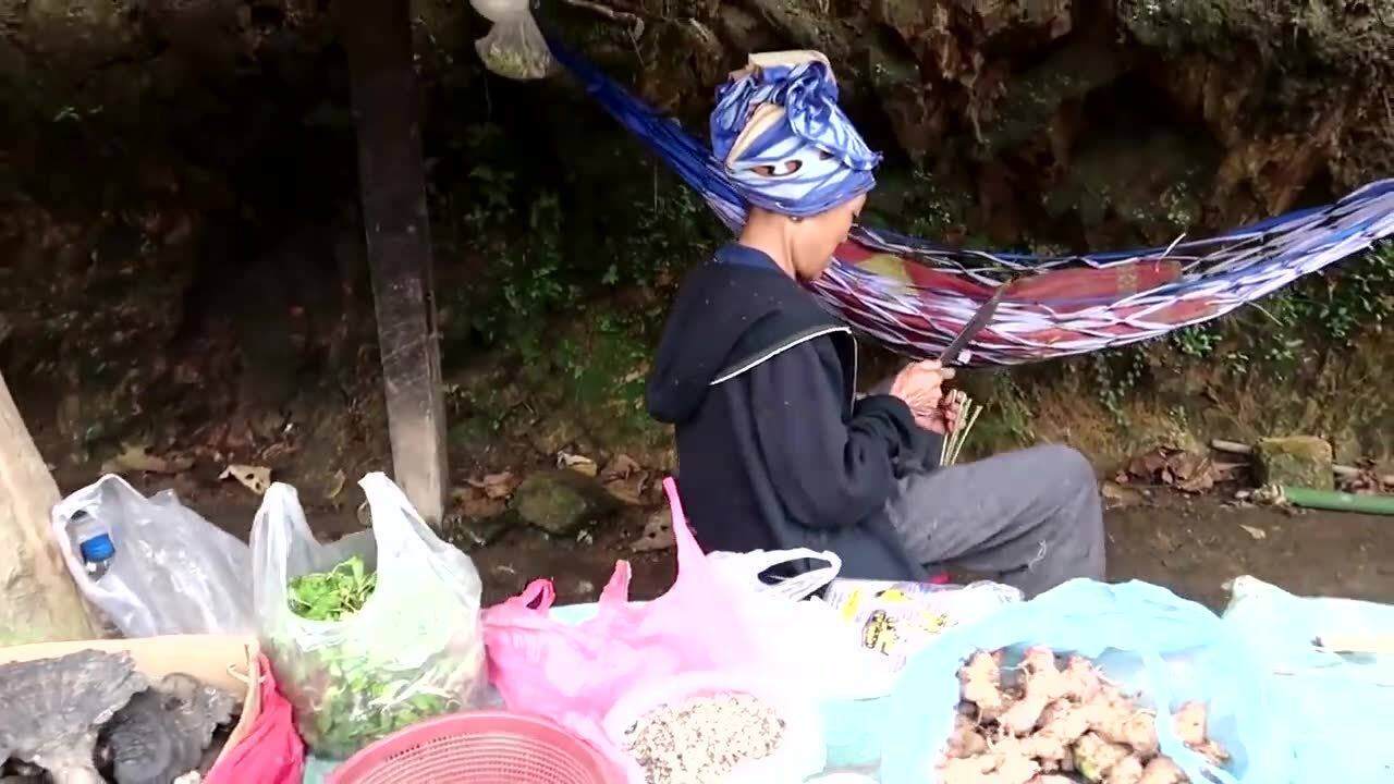 去老挝做什么生意好