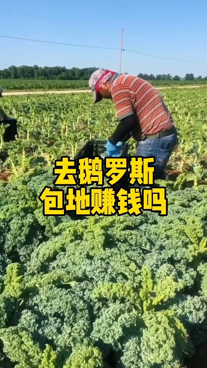 种地赚钱吗