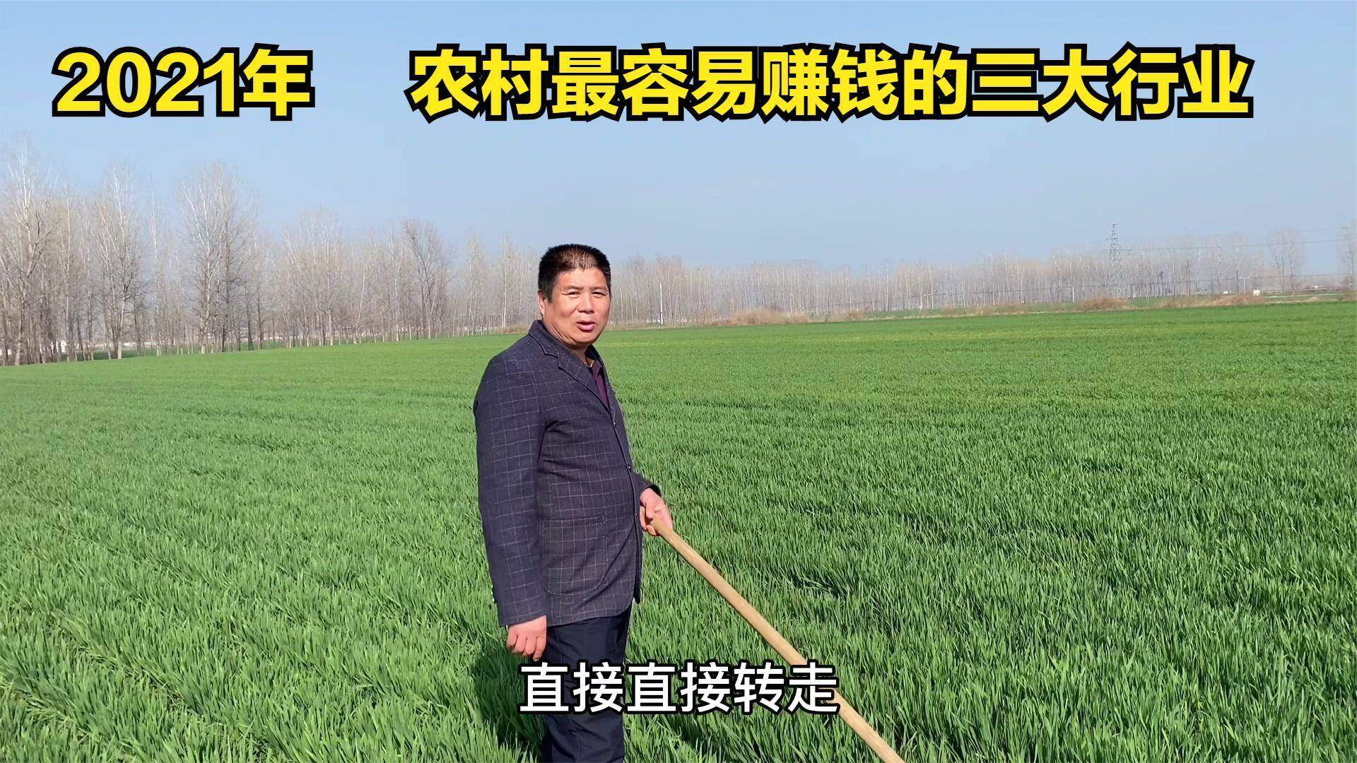 农村最赚钱的行业